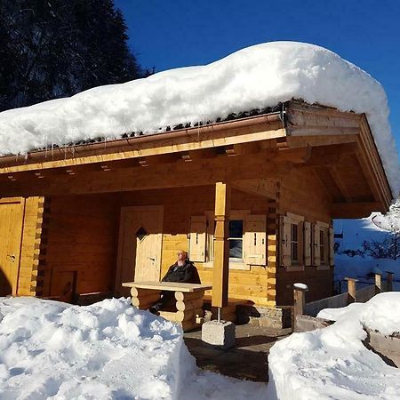 Chalet Sonnheim Lofer Εξωτερικό φωτογραφία
