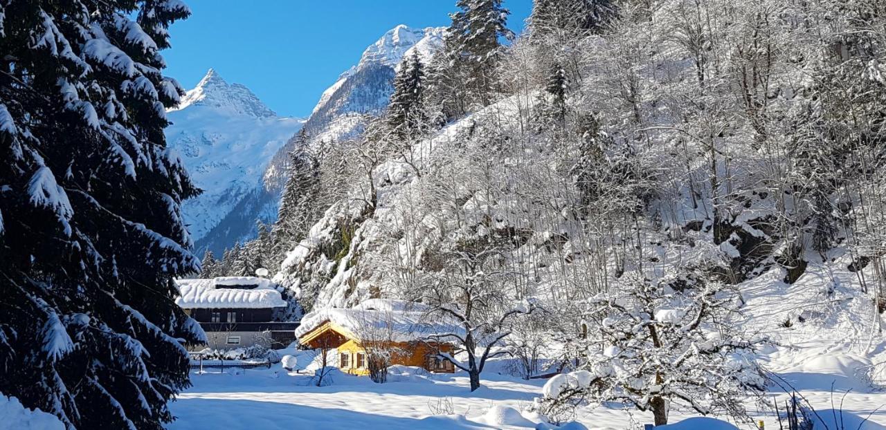 Chalet Sonnheim Lofer Εξωτερικό φωτογραφία